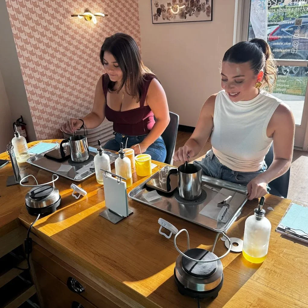 Kitten &amp; Kandle Combo